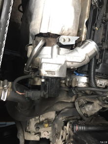 全面呵護，煥新出發(fā) 成都3008大養(yǎng)護全記錄